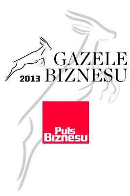 Zdjęcie rodziny produktów: Ranking Gazele Biznesu 2013